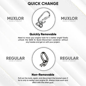 Muxlor size and scale comparison shows compact design and clear capacity reference benefit