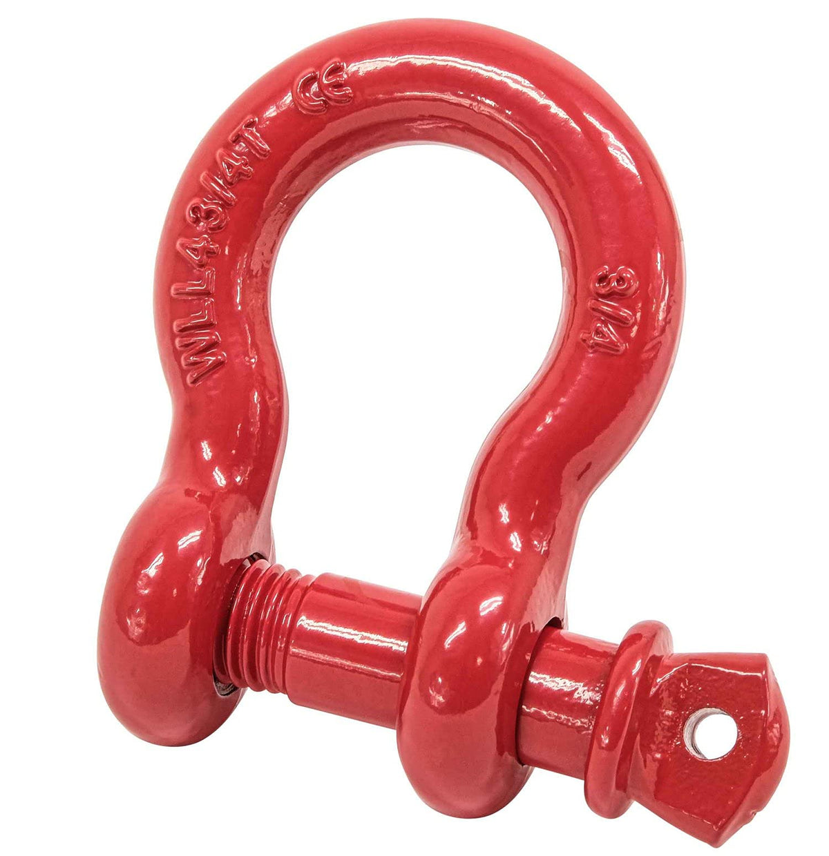 Mytee Products shackle next to ruler showing 3/4-inch diameter scale