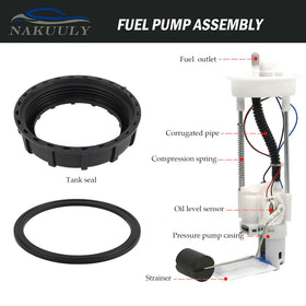 Nakuuly close-up of pump filter element showing clean fuel protection benefit
