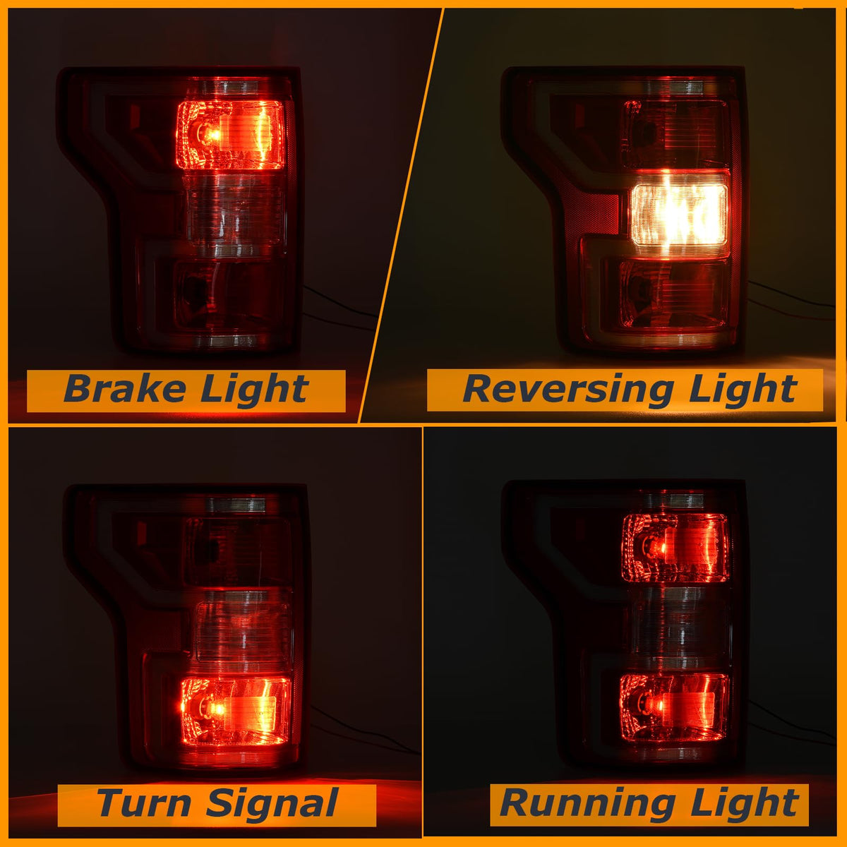 Nakuuly tail light beside ruler for scale demonstrating correct OEM dimensions