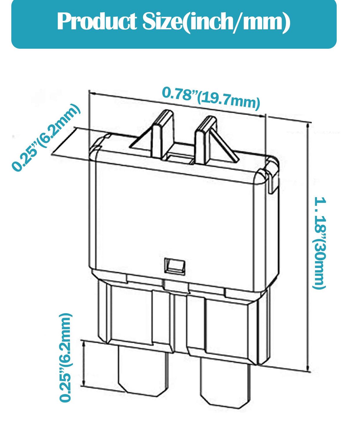 Nerites fuses next to ruler showing compact size and easy storage benefit