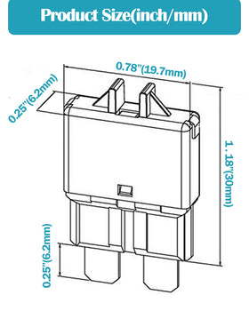 Nerites fuses next to ruler showing compact size and easy storage benefit