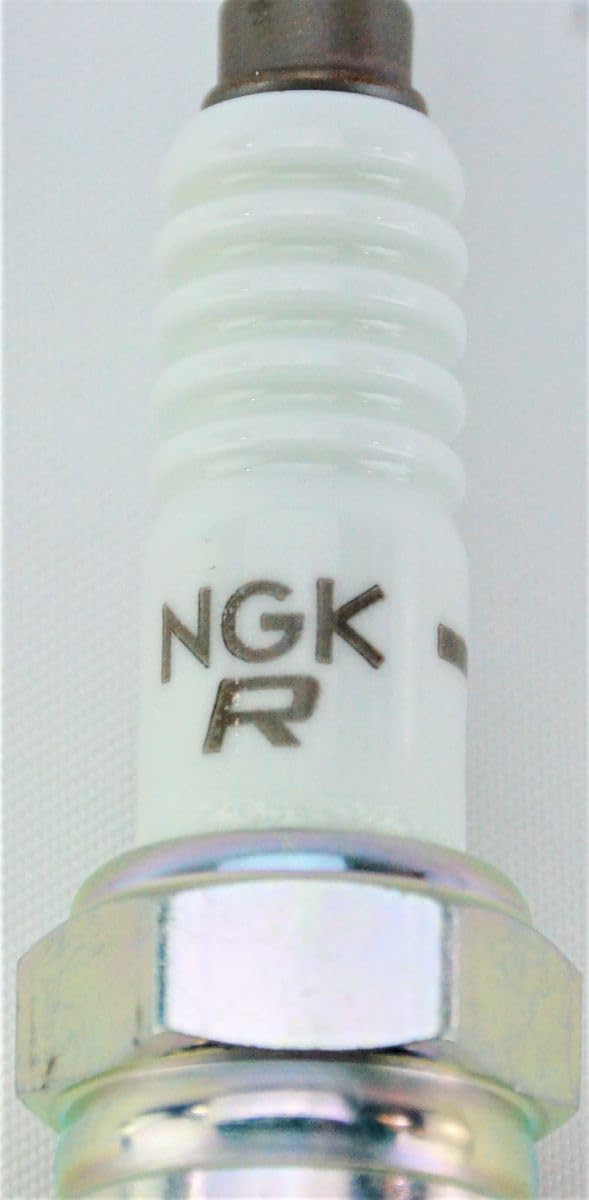NGK 4177 TR6 set of eight arranged highlighting complete kit convenience