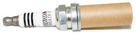 NGK 6619 beside a coin for scale showing compact plug size and easy handling during maintenance