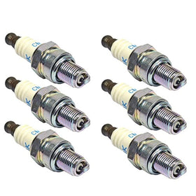 NGK spark plug six-pack front view showing packaging and clear brand identification for reliable replacements