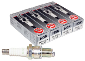 NGK front packaging showing four plugs and model for quick identification