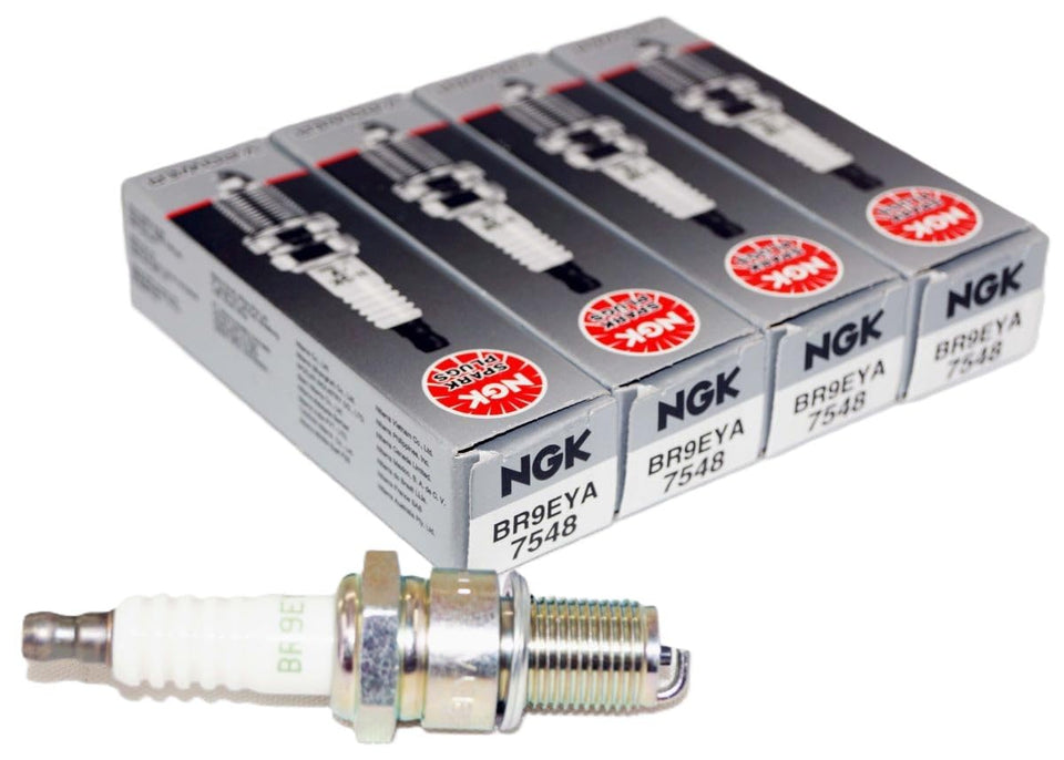NGK front packaging showing four plugs and model for quick identification