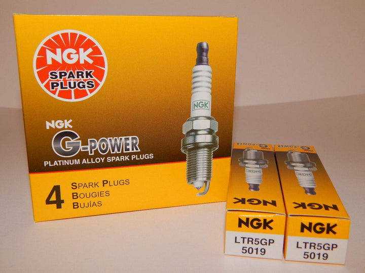 NGK G-Power 5019 six-pack front packaging showing authentic OEM branding and fitment info