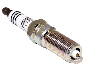 NGK eight spark plugs laid out, displaying full set for V8 replacement convenience