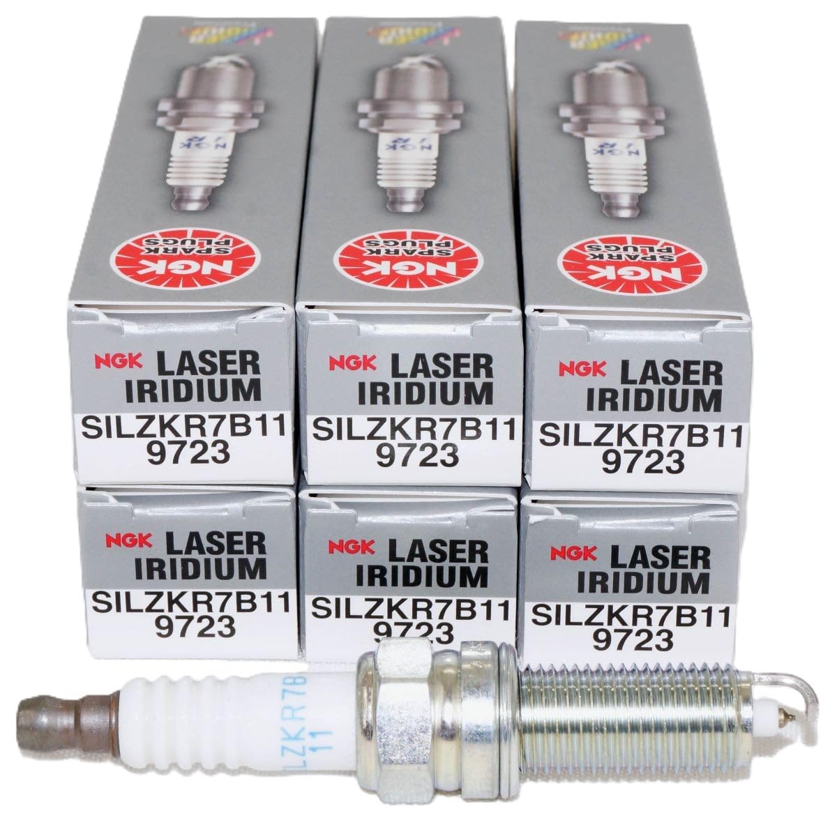 NGK front packaging showing brand and pack of six for trusted replacement