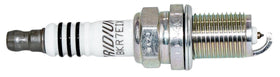 NGK threaded section and 19mm reach detail showing correct fit and anti-seize protection benefit