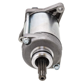 NICHE starter commutator closeup highlighting carbon brushes and contact points