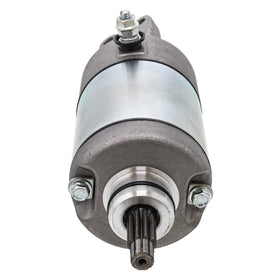 NICHE starter pinion teeth closeup highlighting 10 teeth for correct engagement