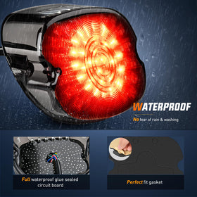 Nilight integrated license plate light illuminating plate for legal visibility