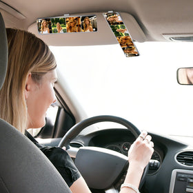 Novabright lifestyle on a road trip visor sharing memories during drives