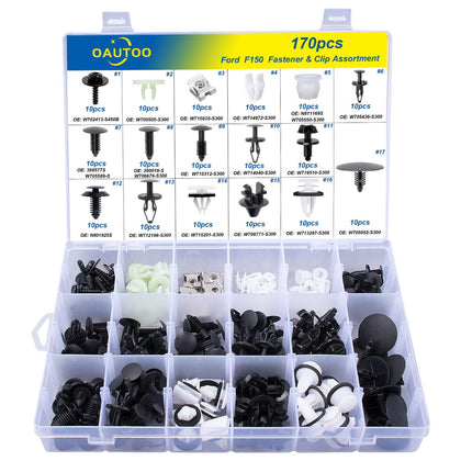 OAUTOO assortment pack showing all 170 fasteners for easy identification and organization