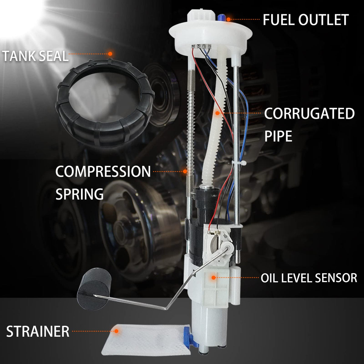 OEKITS internal regulator and pump element visible, shows complete parts for straightforward swap