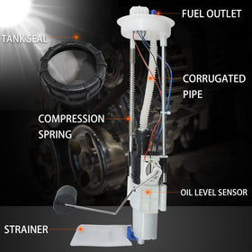 OEKITS internal regulator and pump element visible, shows complete parts for straightforward swap