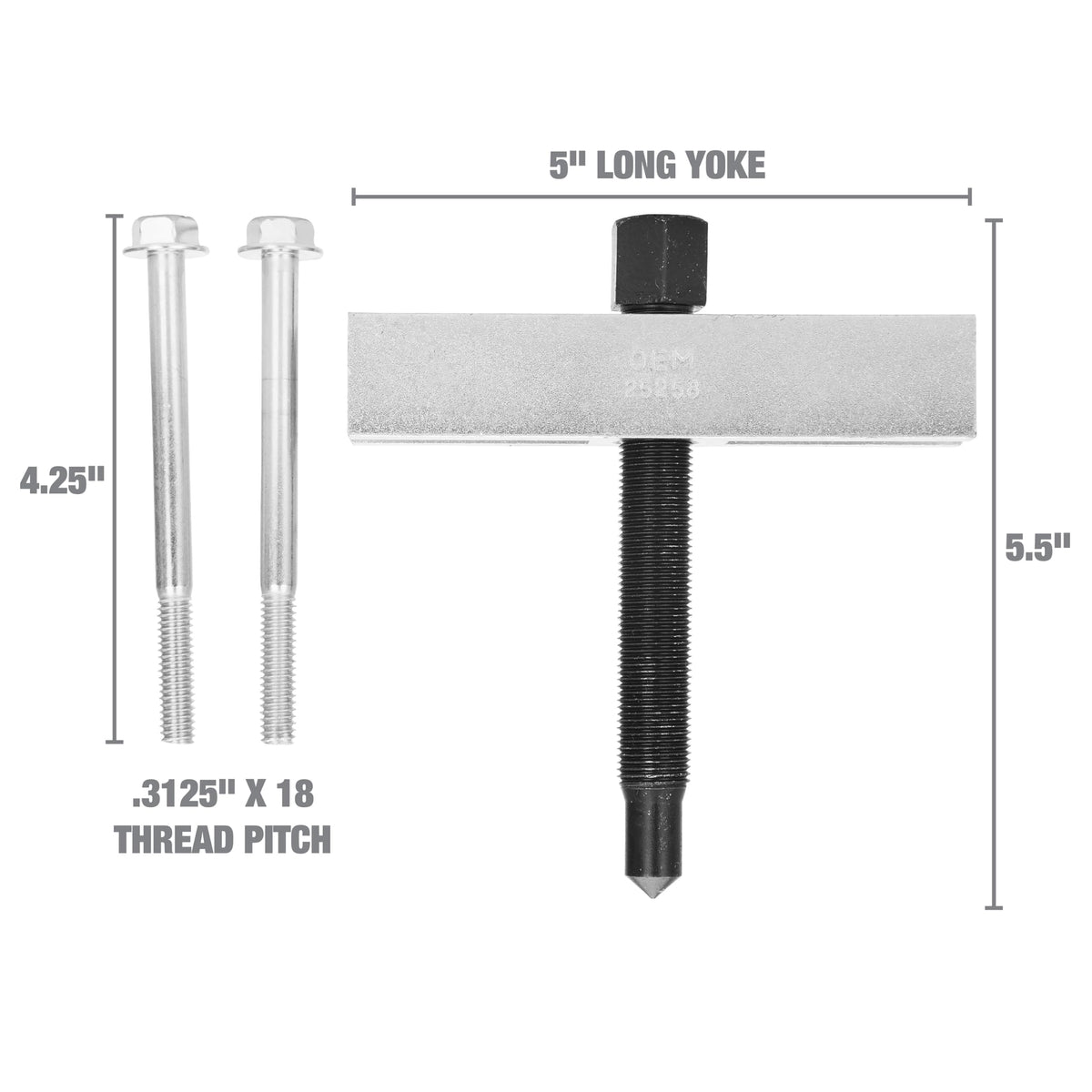 OEMTOOLS 25258 scale next to ruler illustrating compact size and easy storage advantage