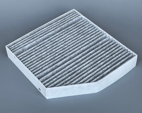 OIFILLIO filter next to ruler for scale showing correct OEM dimensions