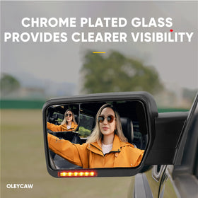 oleycaw installed on F-150 driver side demonstrating real-world fit