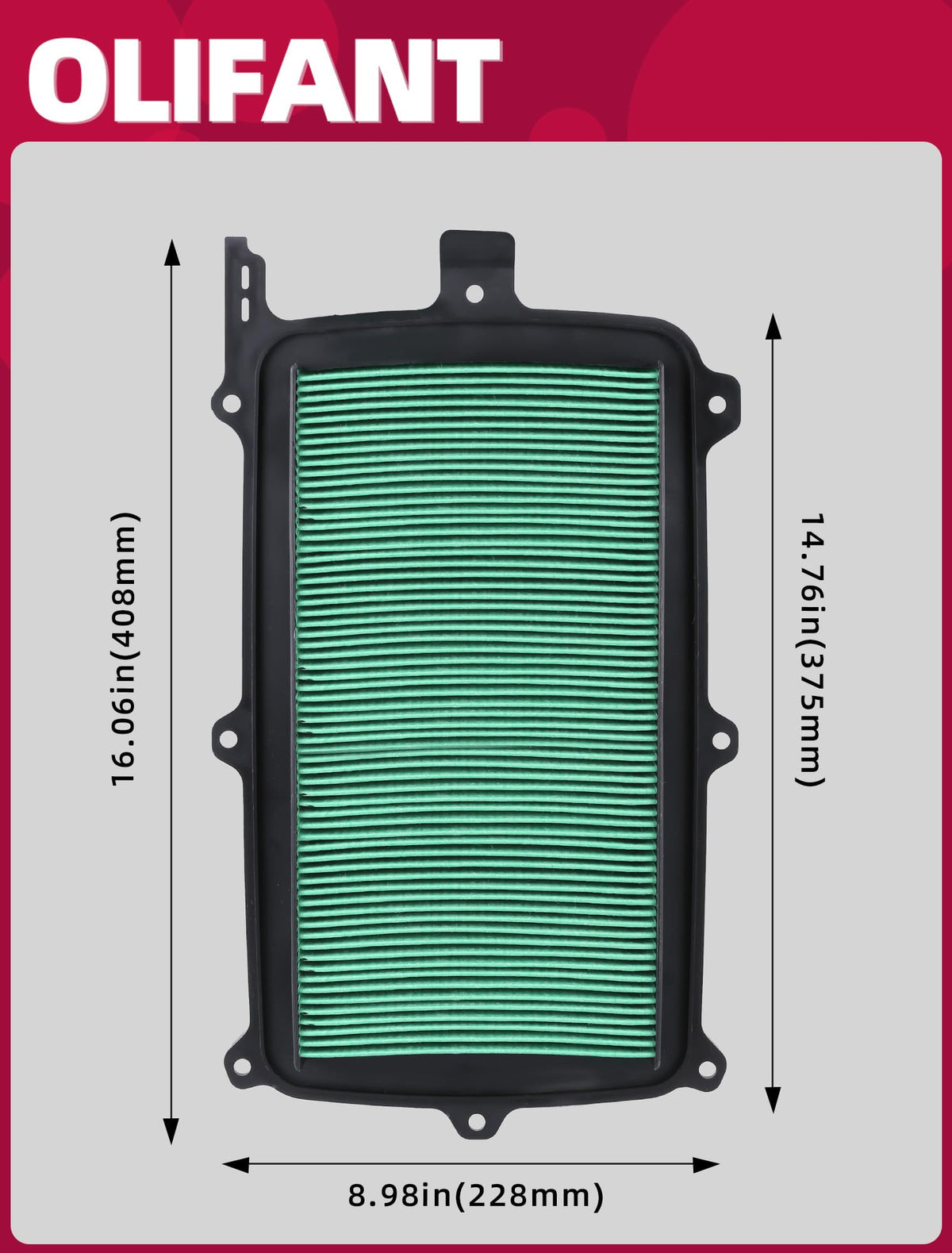 OLIFANT filter installed in Honda Talon demonstrating engine protection