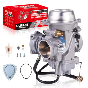 OLIFANT carburetor front view showing body and mounting for reliable fit