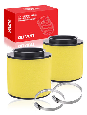 OLIFANT front view of filter pair showing fit and brand for easy replacement