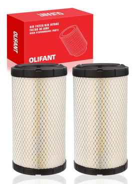 OLIFANT front view of two filters showing clean fit and ready-to-install benefit