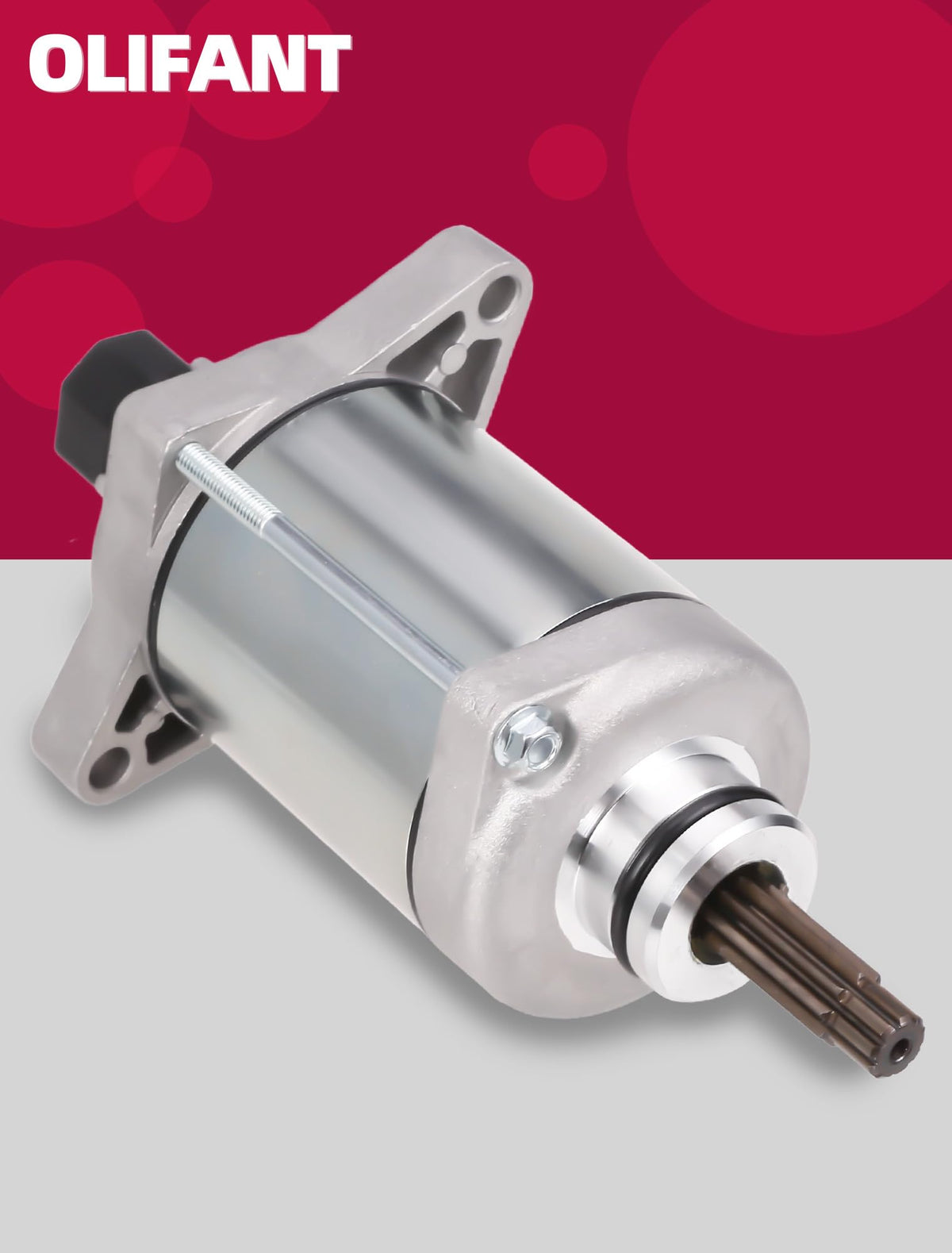 OLIFANT starter label with OEM numbers for quick model verification benefit