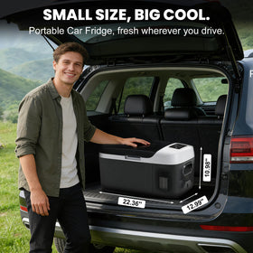 OLIXIS open interior with removable basket highlighting organized storage benefit