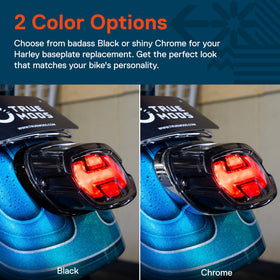 ONLINE LED STORE TRUE MODS installed on Sportster rear demonstrating tidy, secure fit