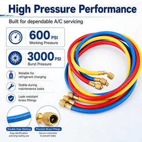 Oralys color-coded red blue yellow hoses visible for fast safe connections