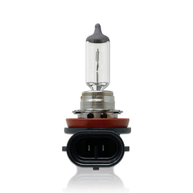 OSRAM H11 illuminating a road at night to show consistent halogen visibility