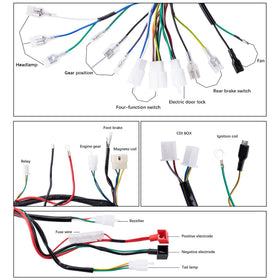OTOHANS AUTOMOTIVE harness beside ruler showing scale for correct size selection