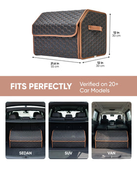 Owleys Hexy inside car trunk loaded with gear for secure transport