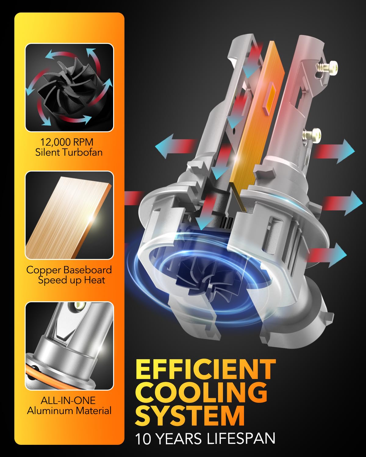 OXILAM 9005 next to halogen bulb showing matching size and retrofit ease