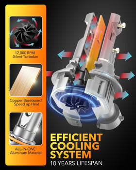 OXILAM 9005 next to halogen bulb showing matching size and retrofit ease