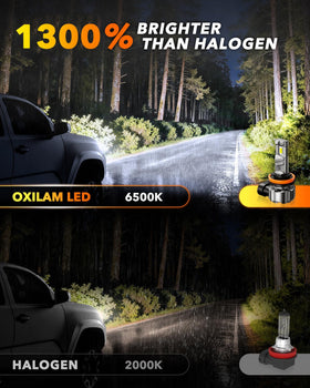 OXILAM size comparison with halogen demonstrating compact fit advantage