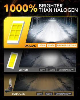 OXILAM bulbs installed in vehicle fog light delivering brighter road edge visibility