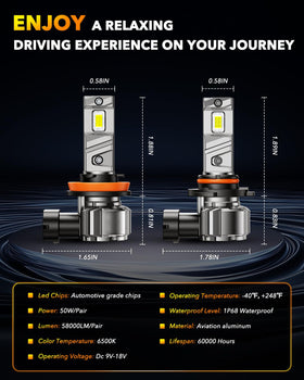 OXILAM bulbs in a nighttime highway scene enhancing contrast and driver visibility