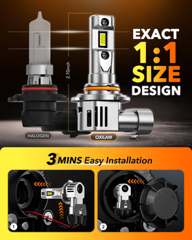 OXILAM beside halogen bulb showing identical 1:1 sizing advantage