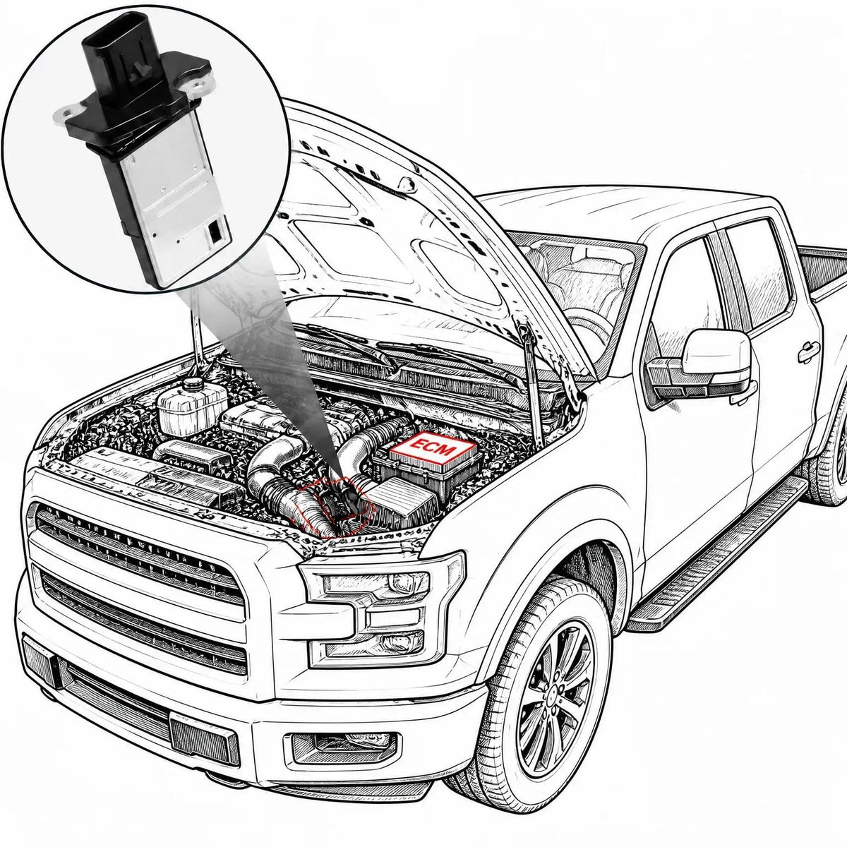 OYEAUTO connector close-up ensuring correct plug match benefit
