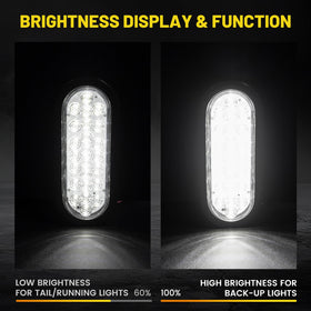 Oyviny closeup of 24 LED diodes showing concentrated light output benefit