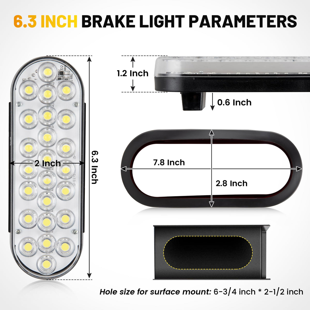 Oyviny size comparison with ruler showing compact 6-inch scale benefit