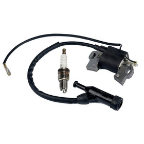 Panari ignition coil front view showing connectors and mounting for quick replacement