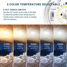 Parmida installed in an RV ceiling demonstrating soft, even interior illumination