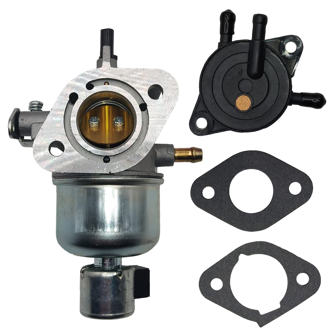 Partman carburetor front view showing new assembly and improved fuel flow