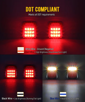 Partsam closeup of LED array showing 12 red and 4 white LEDs for clear signals