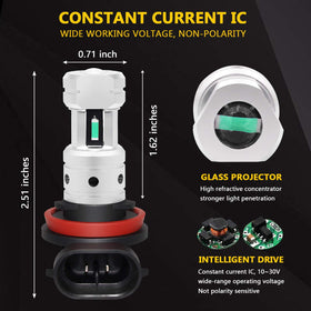 PHINLION bulbs installed in fog housing highlighting clearer roadway view